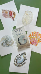 All the Seashells Art Print 11x14