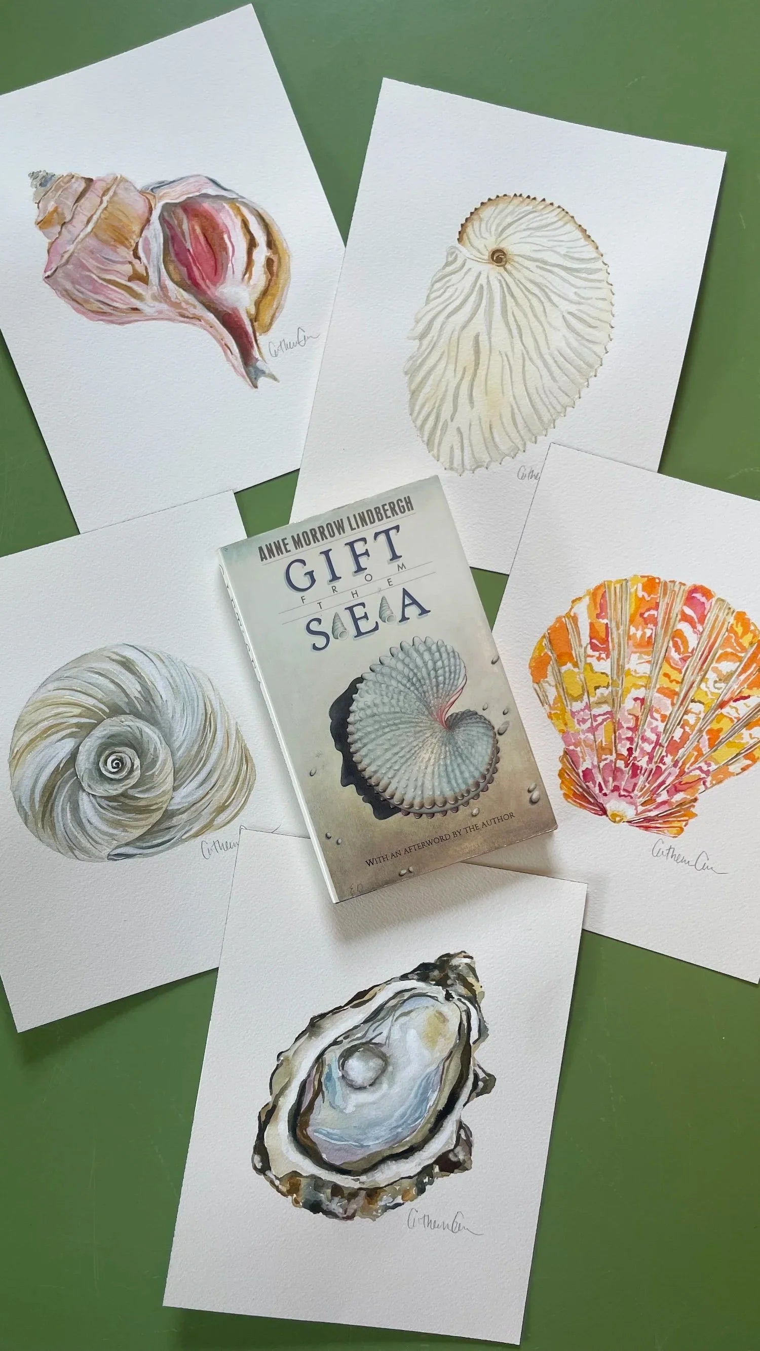 All the Seashells Art Print 11x14