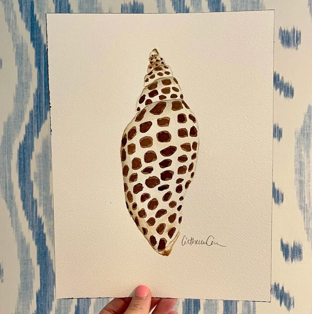 Junonia Art Print 8x10