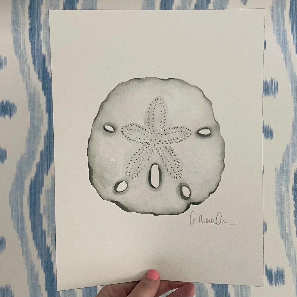 Sand Dollar Art Print 8x10