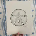 Sand Dollar Art Print 8x10