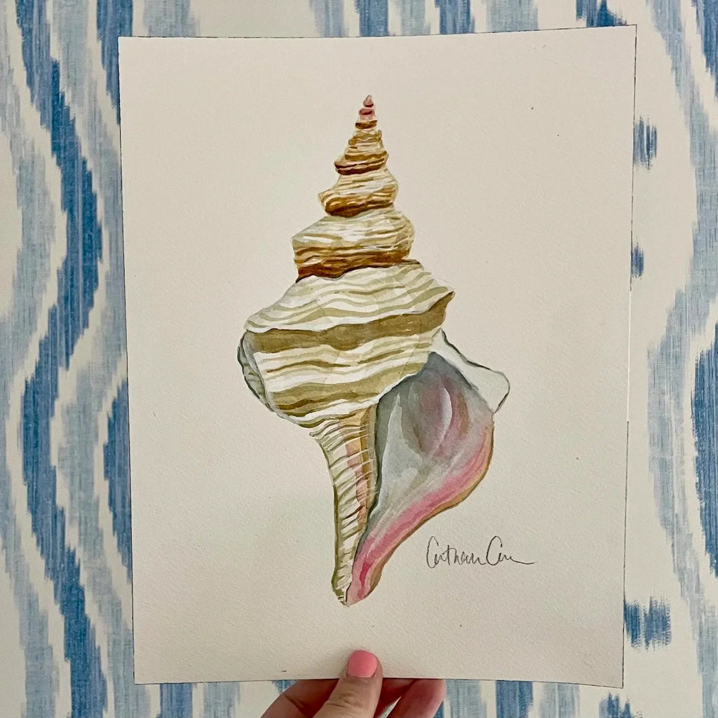 Horse Conch Art Print 8x10