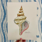 Horse Conch Art Print 8x10