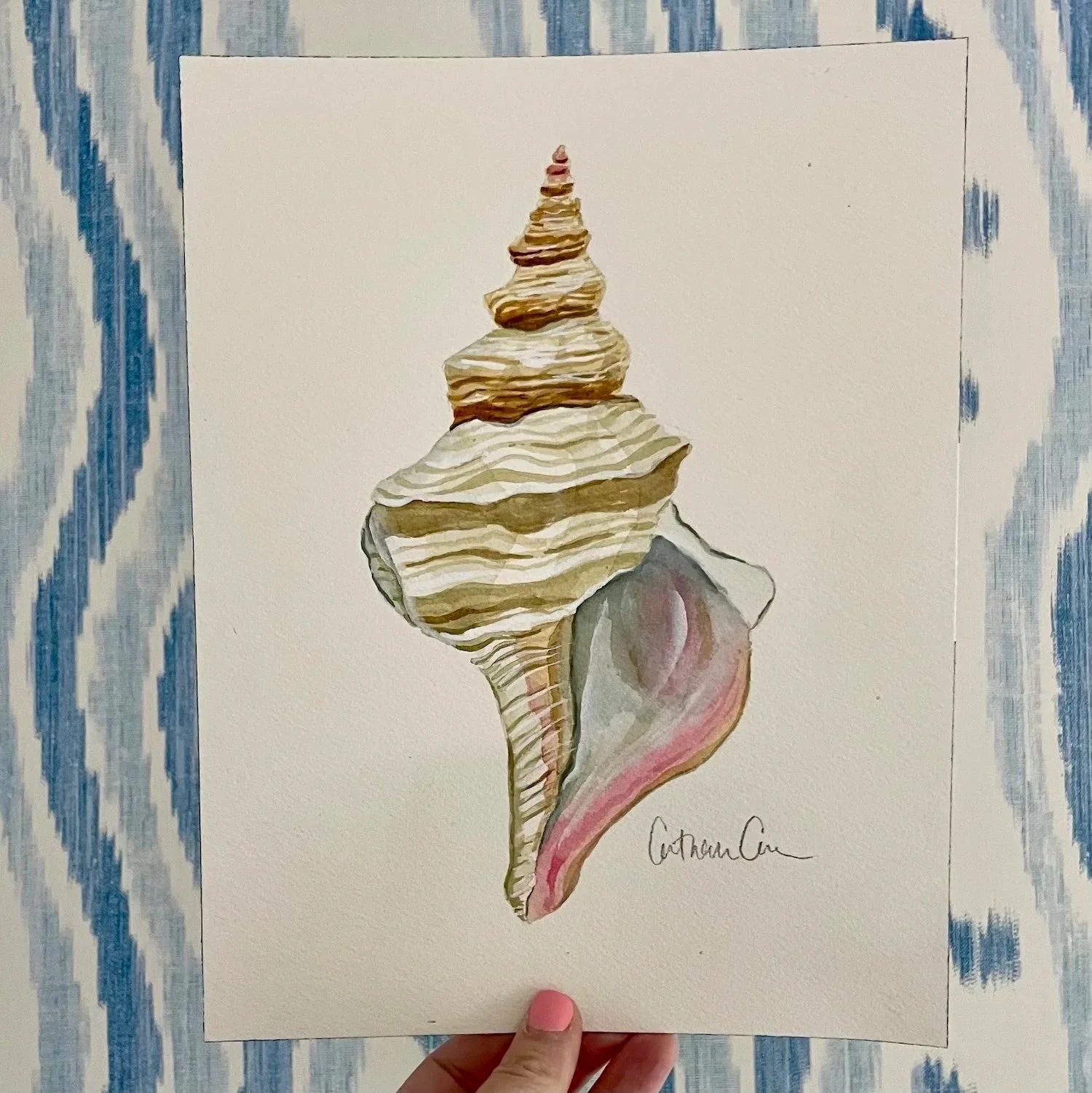 Horse Conch Art Print 8x10