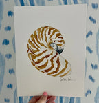 Nautilus Art Print 8x10