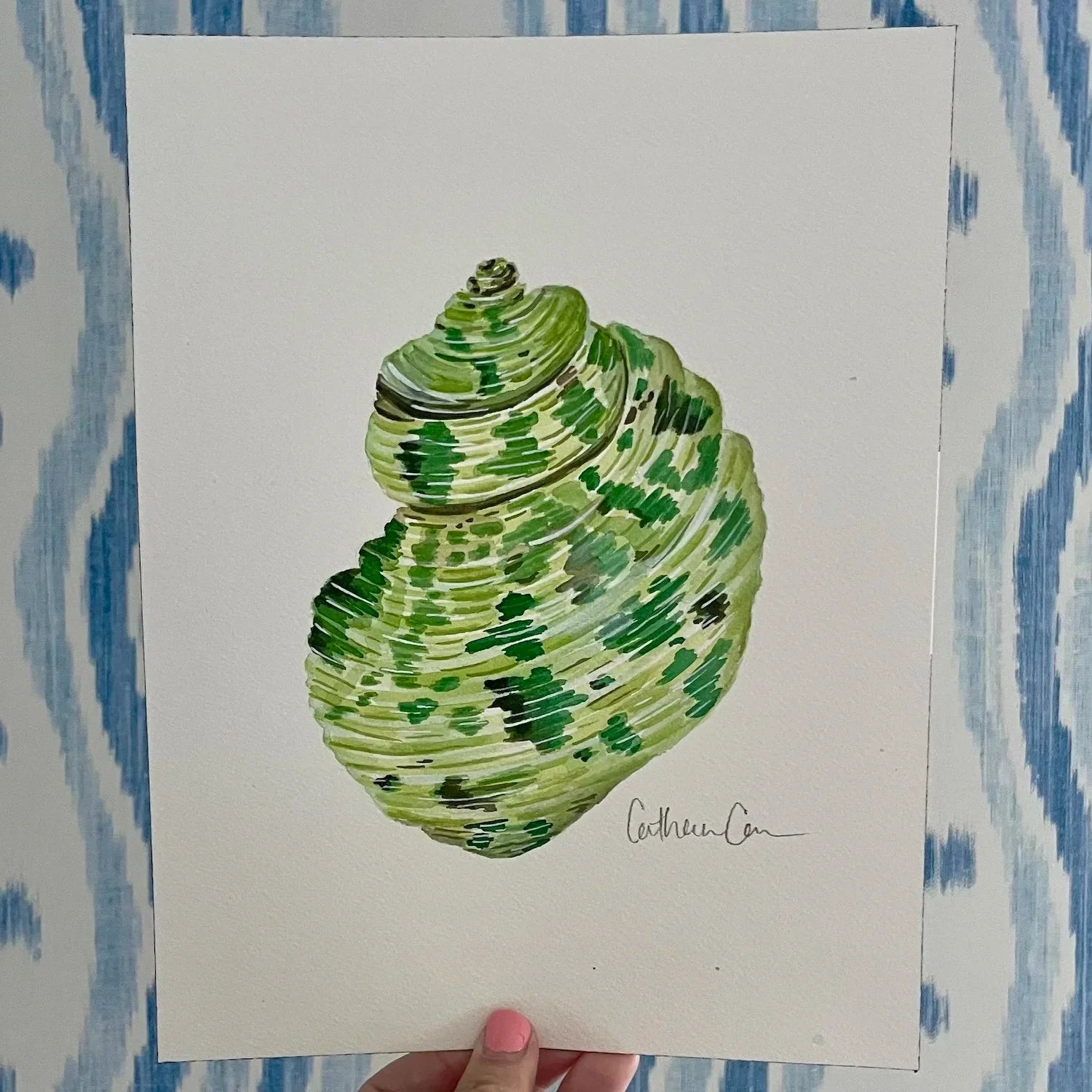 Turbo Shell Art Print 8x10