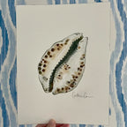 Cowrie Shell Art Print 8x10