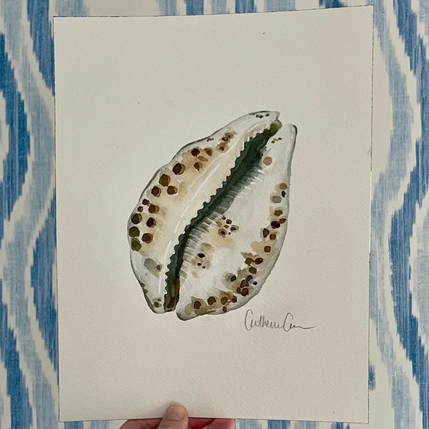 Cowrie Shell Art Print 8x10