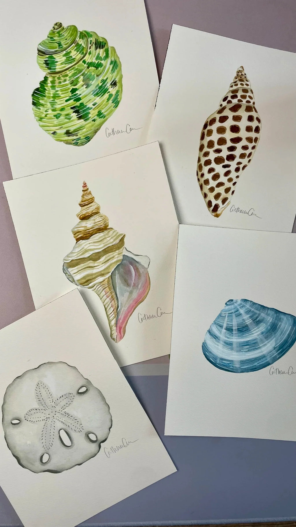 Horse Conch Art Print 8x10