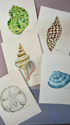 Horse Conch Art Print 8x10