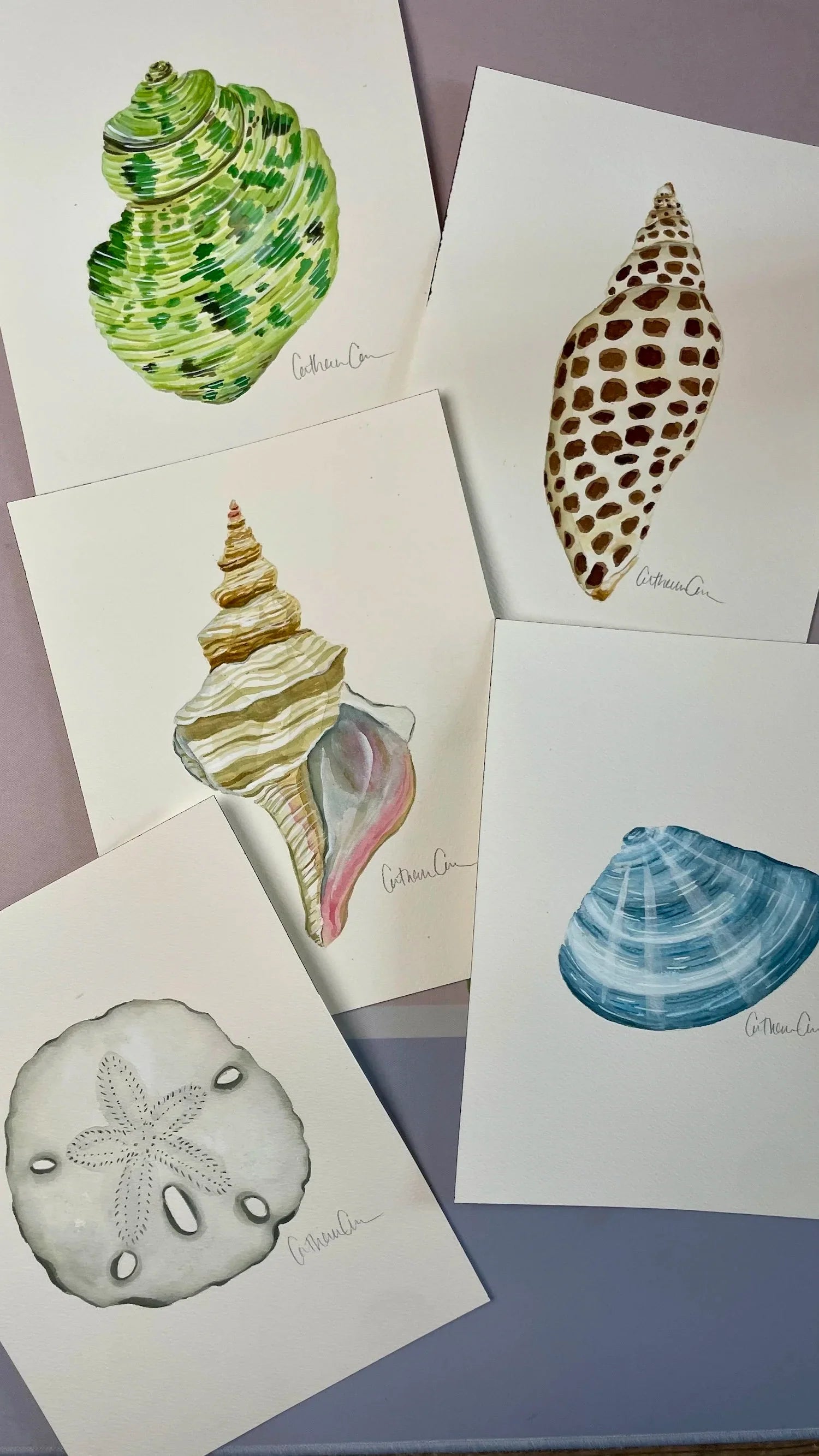 Horse Conch Art Print 8x10