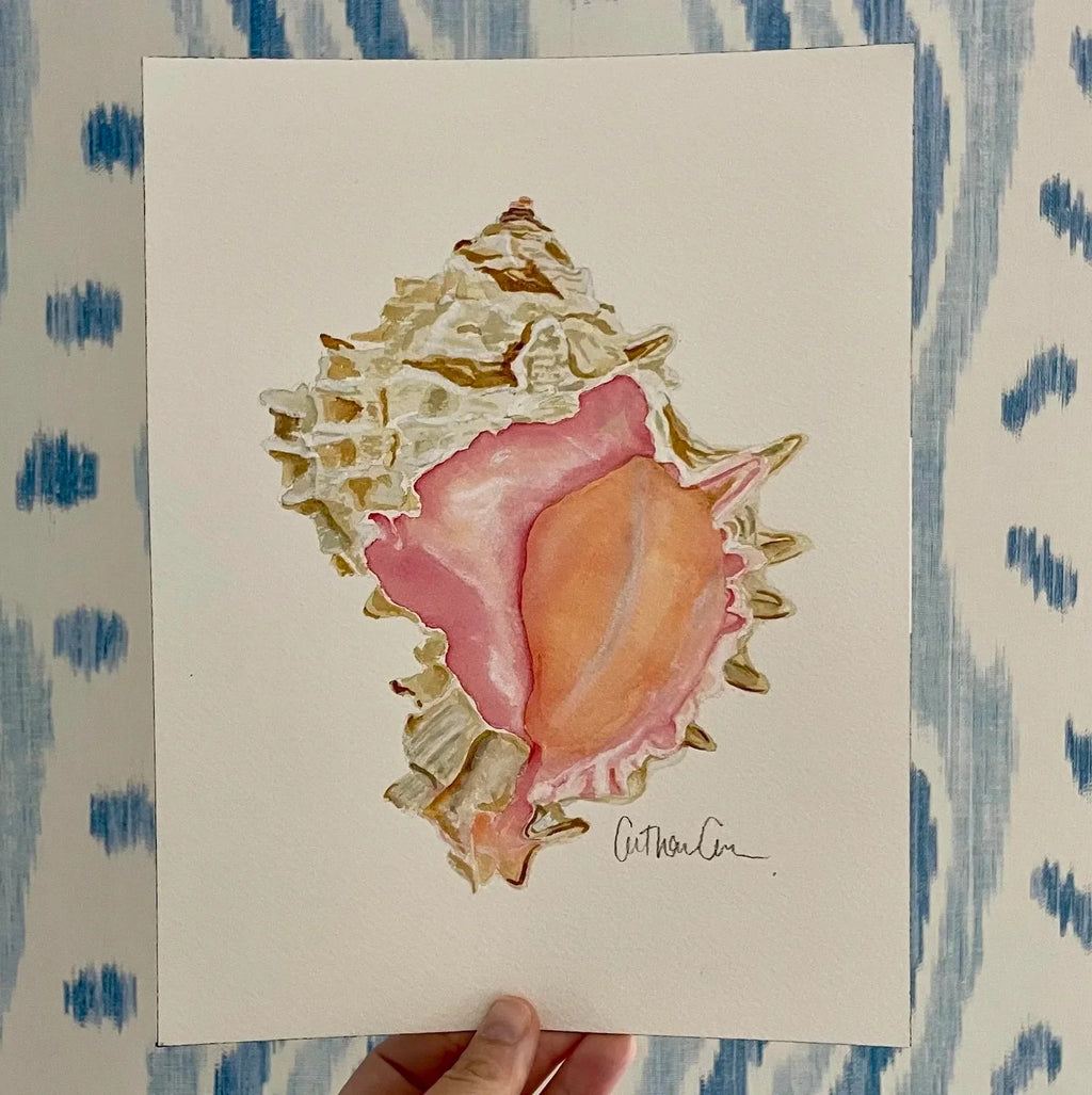 Pink Murex Art Print 8x10