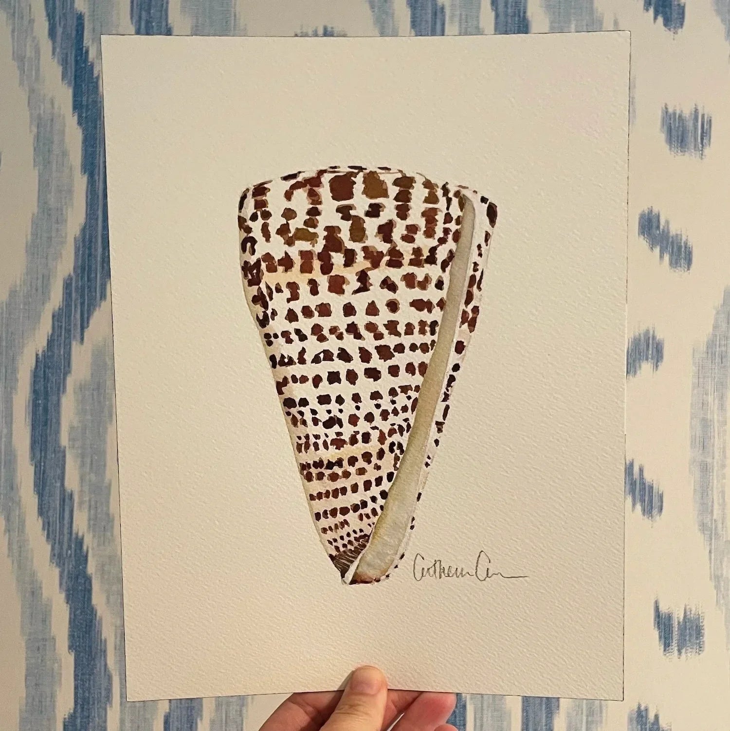 Cone Shell Art Print 8x10