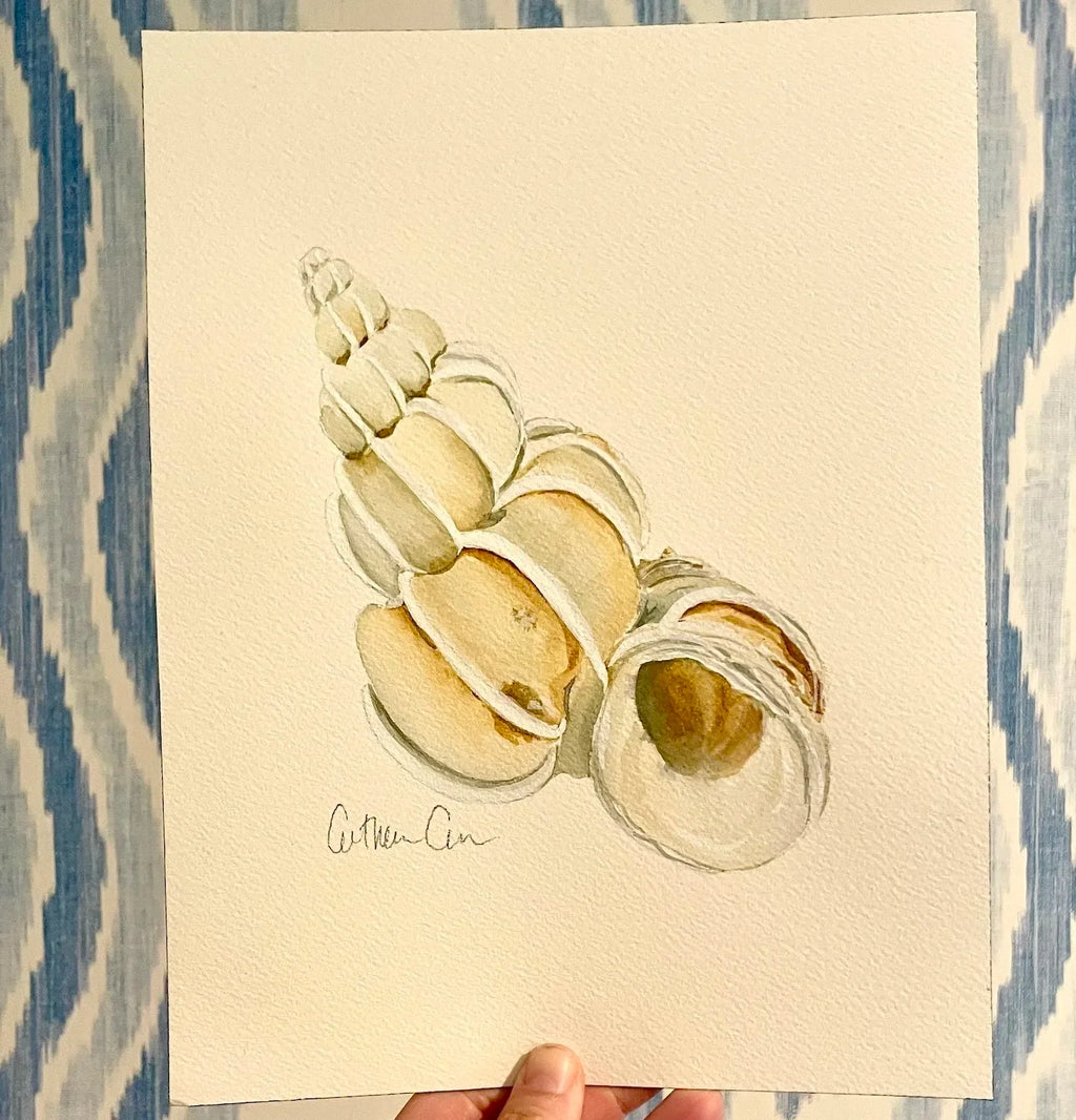 Wentletrap Art Print 8x10