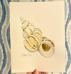 Wentletrap Art Print 8x10