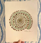 Sundial Shell Art Print 8x10