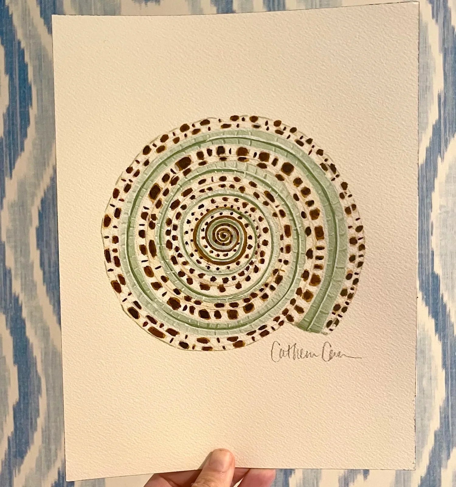 Sundial Shell Art Print 8x10