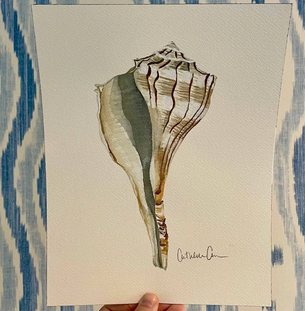 Lightening Shell Art Print 8x10