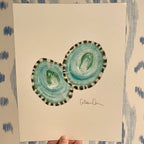 Limpet Shells Art Print 8x10