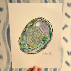 Abalone Art Print 8x10