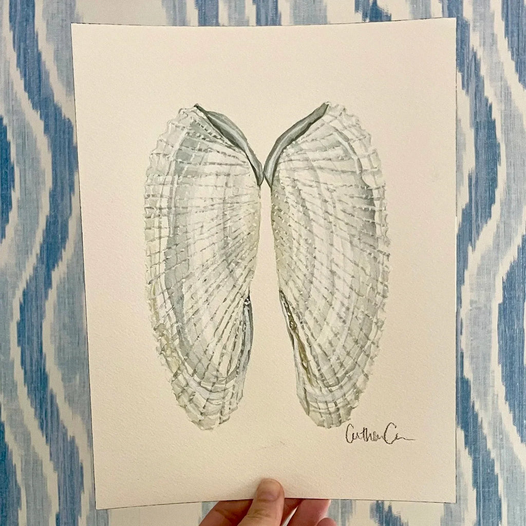 Angel Wing Shells Art Print 8x10