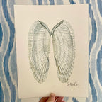 Angel Wing Shells Art Print 8x10