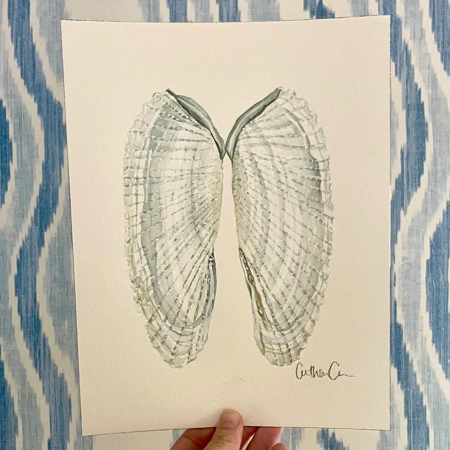 Angel Wing Shells Art Print 8x10