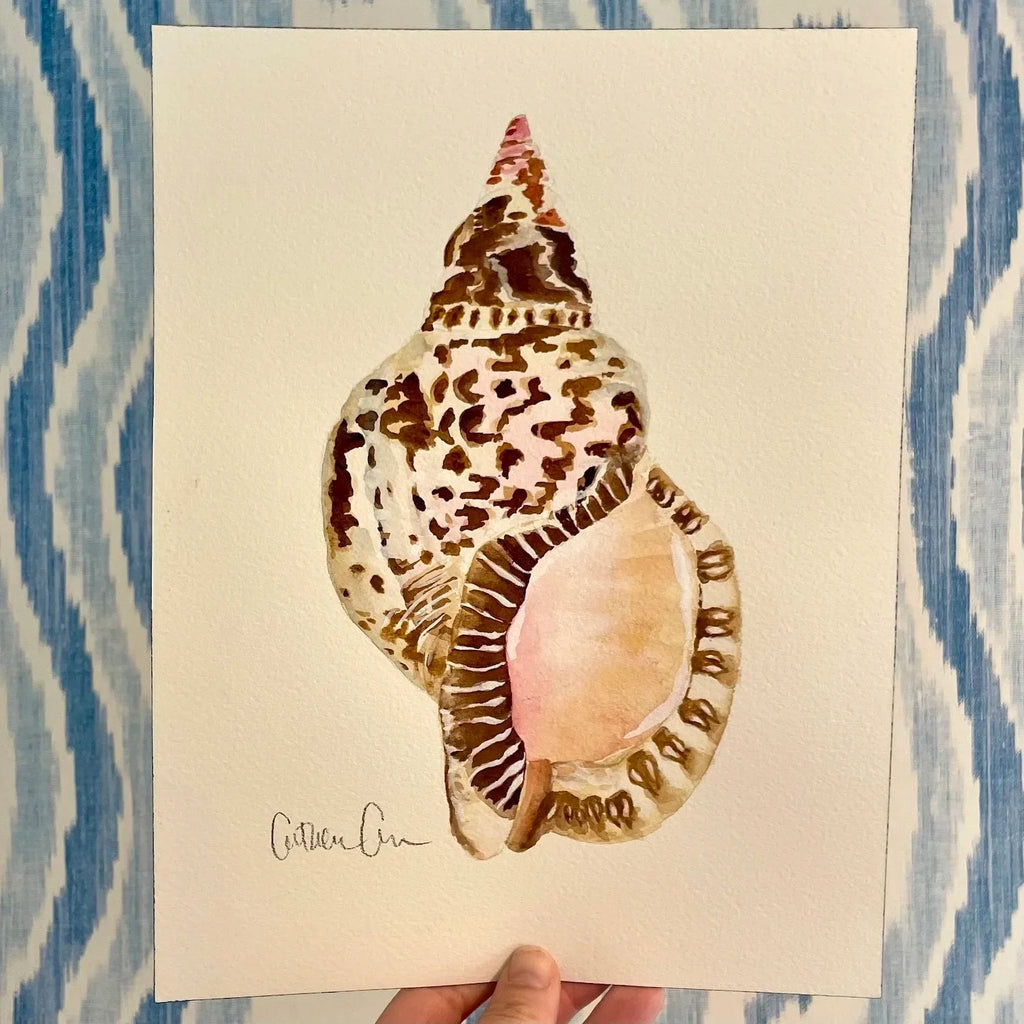 Triton Shell Art Print 8x10