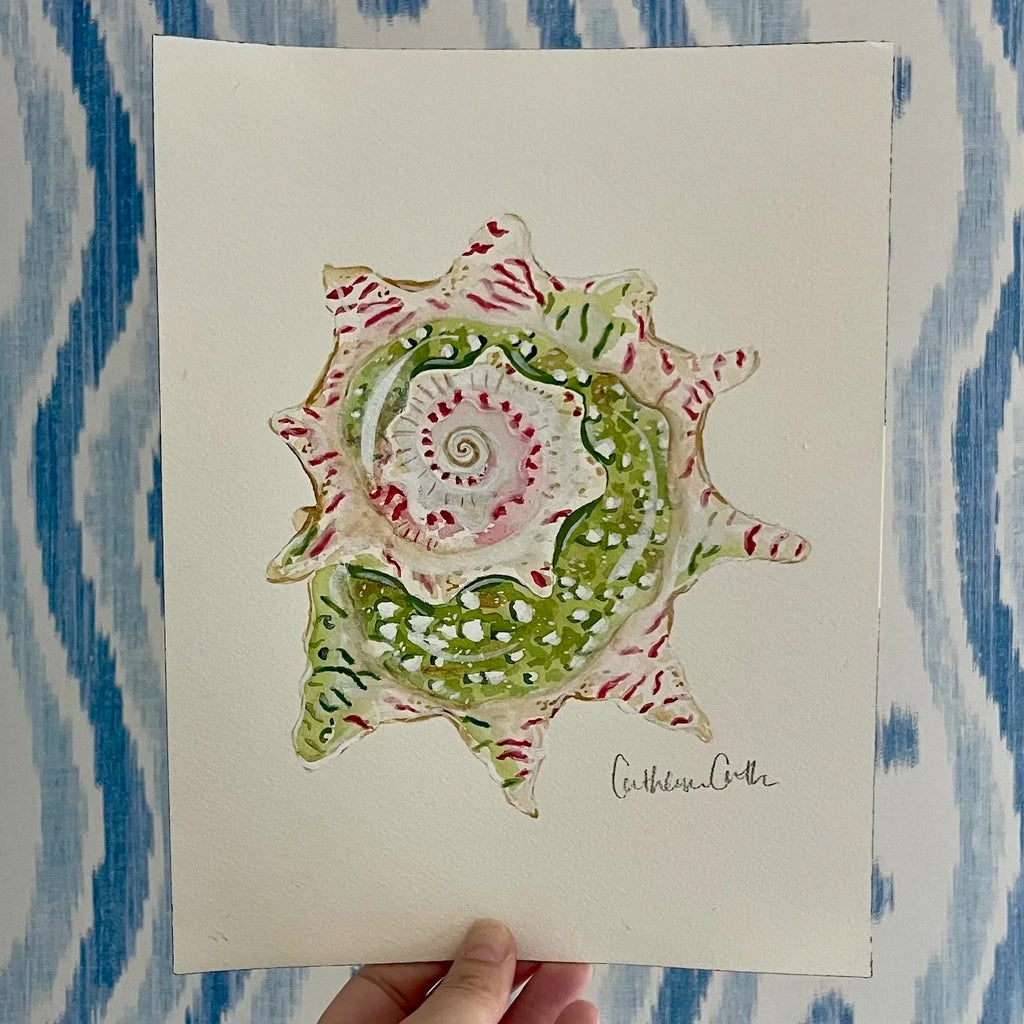 Star Shell Art Print 8x10