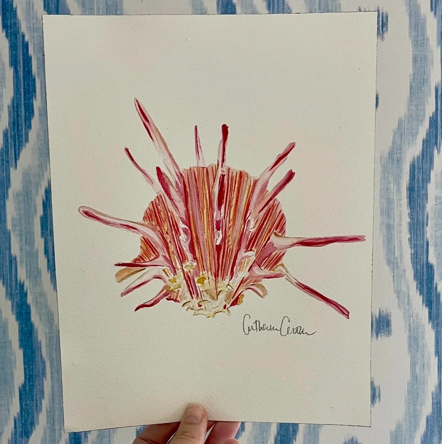 Spiny Oyster Art Print 8x10