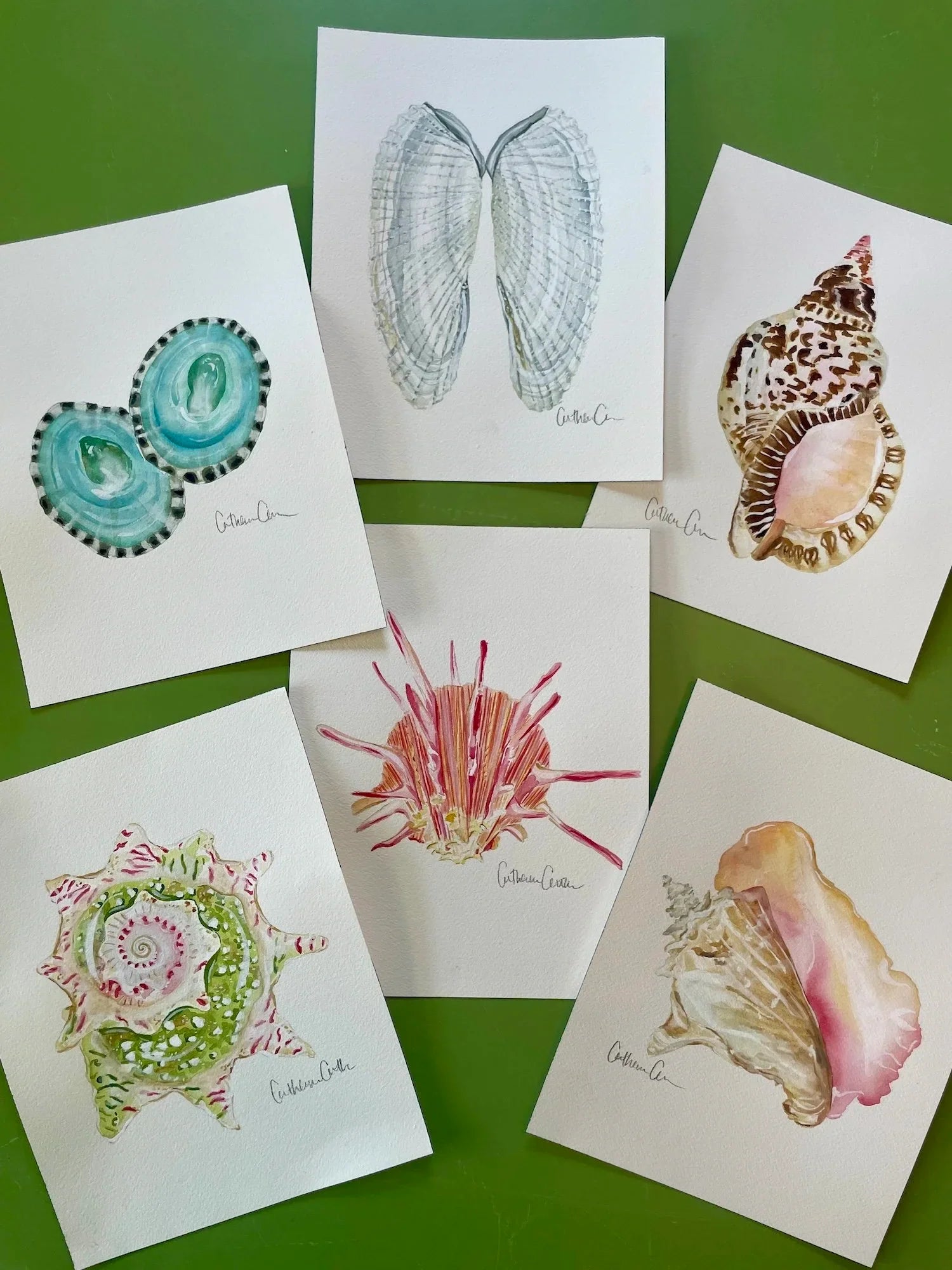 Spiny Oyster Art Print 8x10