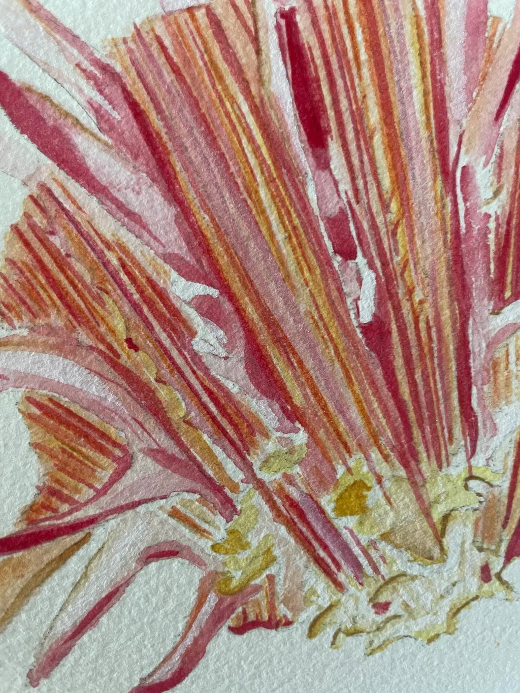 Spiny Oyster Art Print 8x10