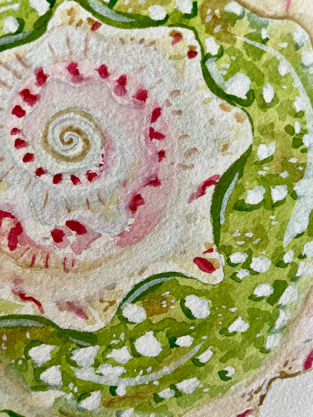 Star Shell Art Print 8x10