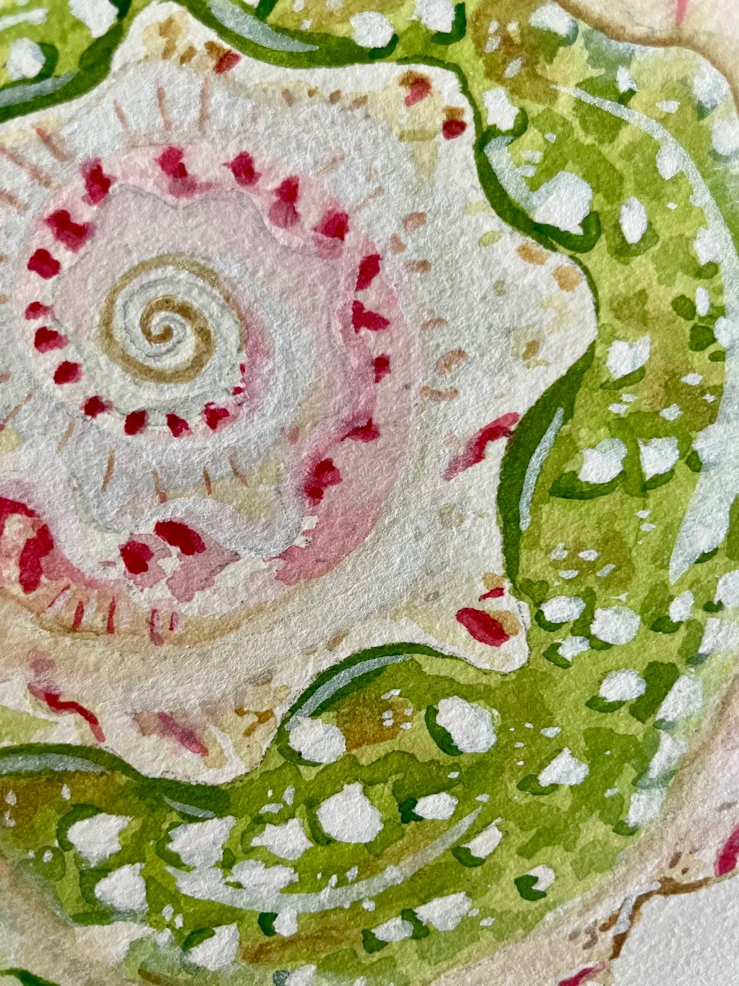 Star Shell Art Print 8x10