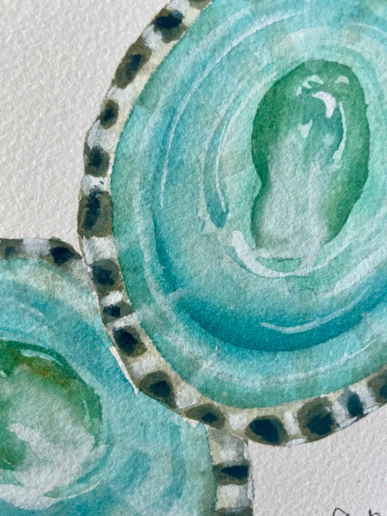Limpet Shells Art Print 8x10