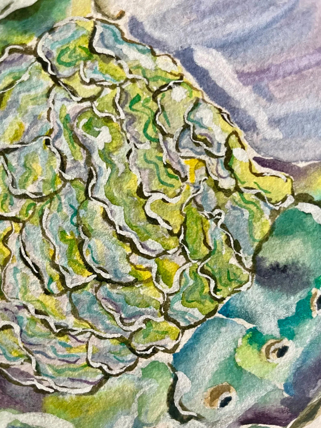 Abalone Art Print 8x10