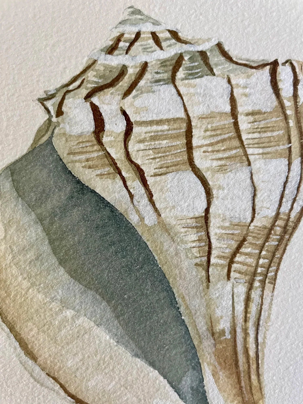 Lightening Shell Art Print 8x10