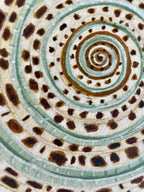 Sundial Shell Art Print 8x10