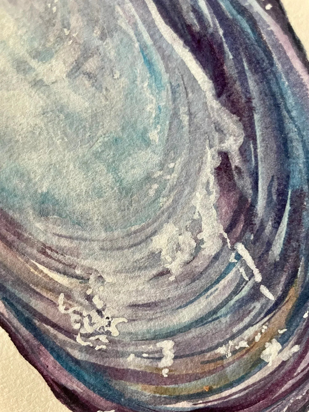 Mussel Art Print 8x10