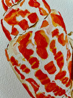 Miter Shell Art Print 8x10