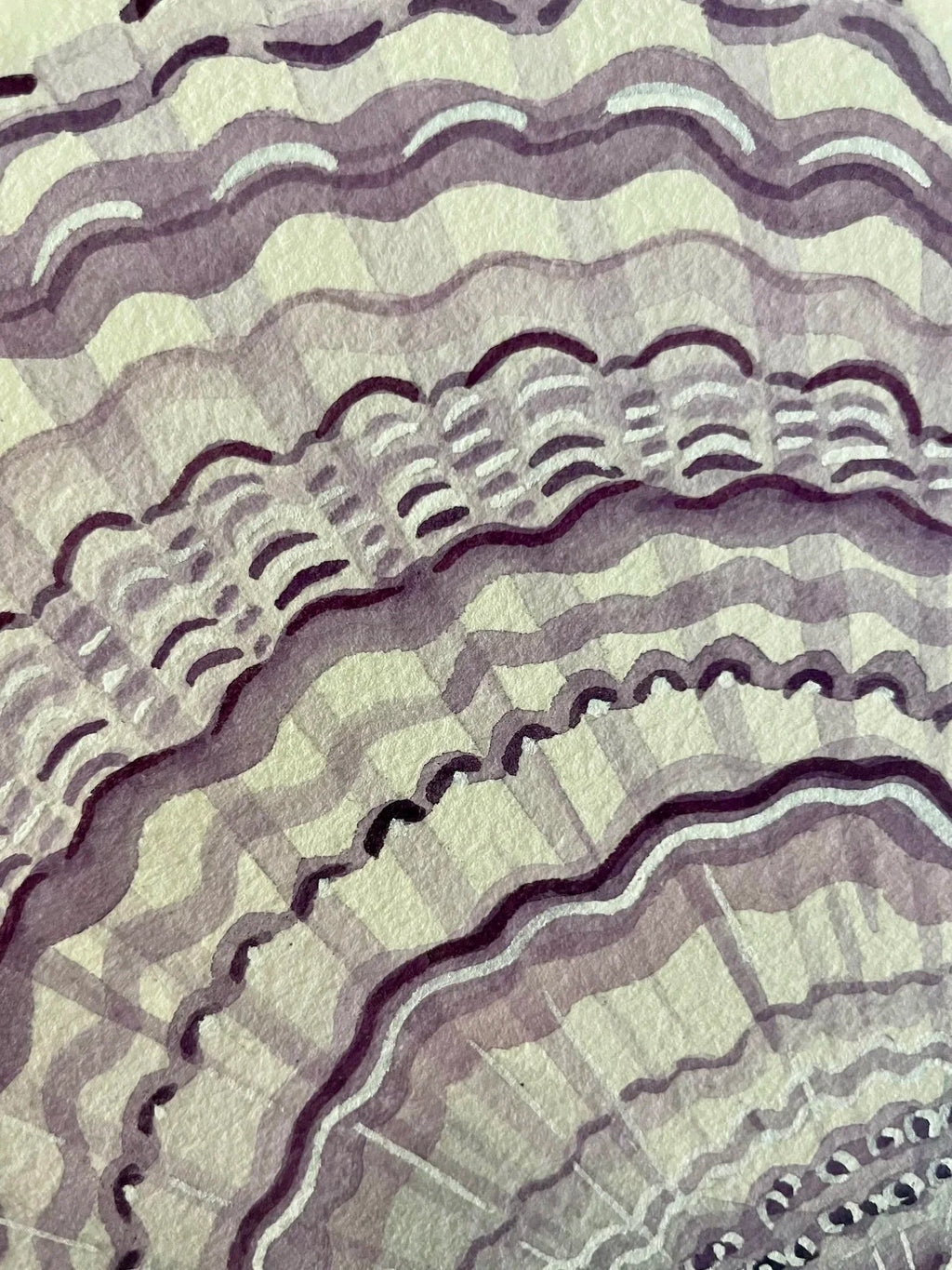 Lilac Cockle Art Print 8x10