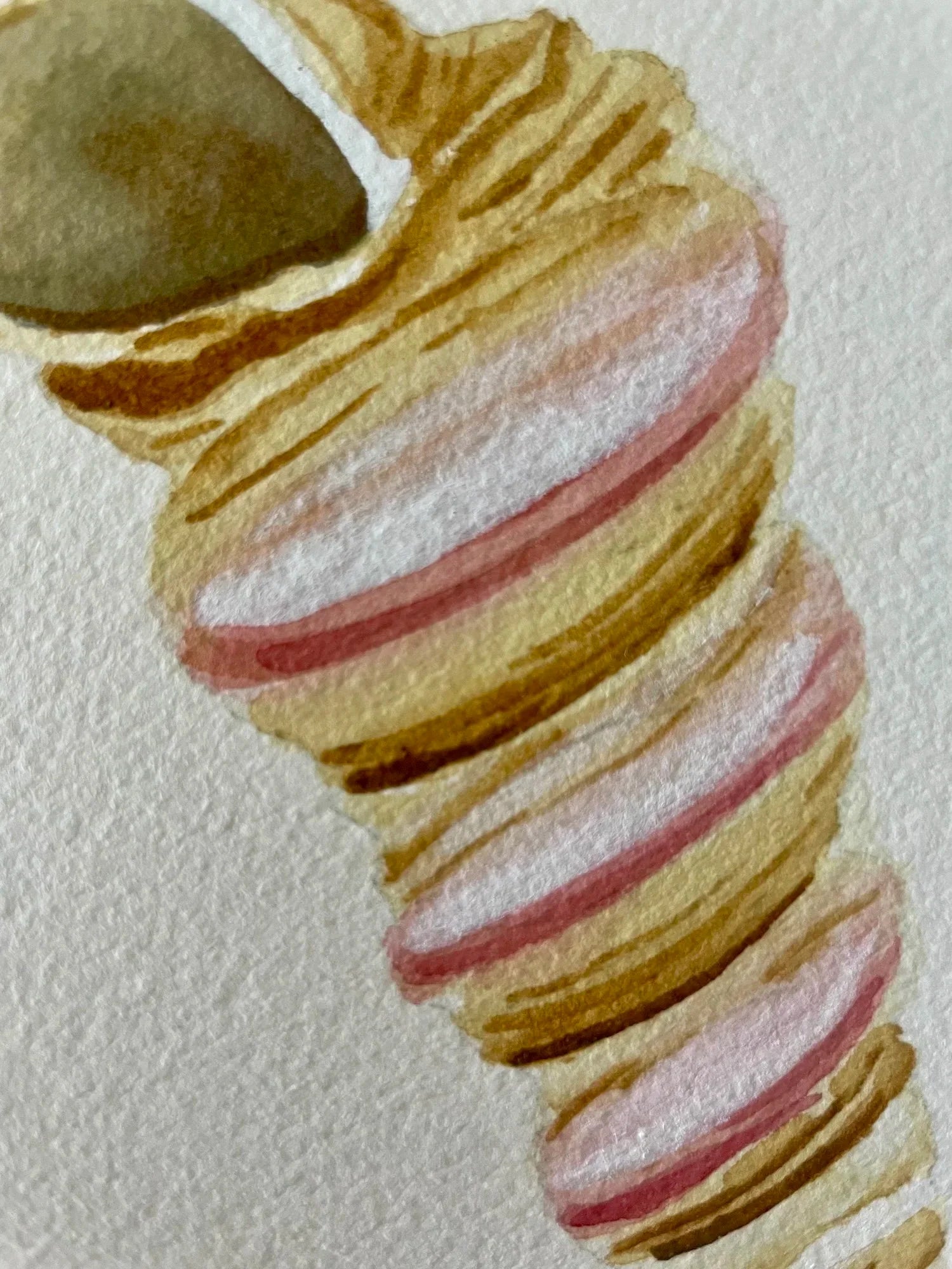 Auger Art Print 8x10