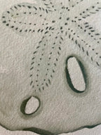 Sand Dollar Art Print 8x10
