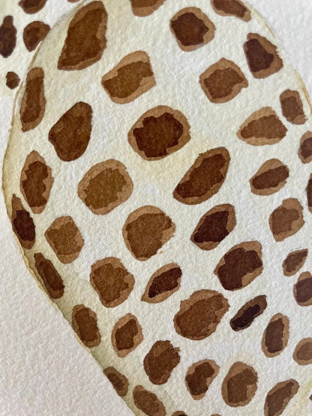 Junonia Art Print 8x10