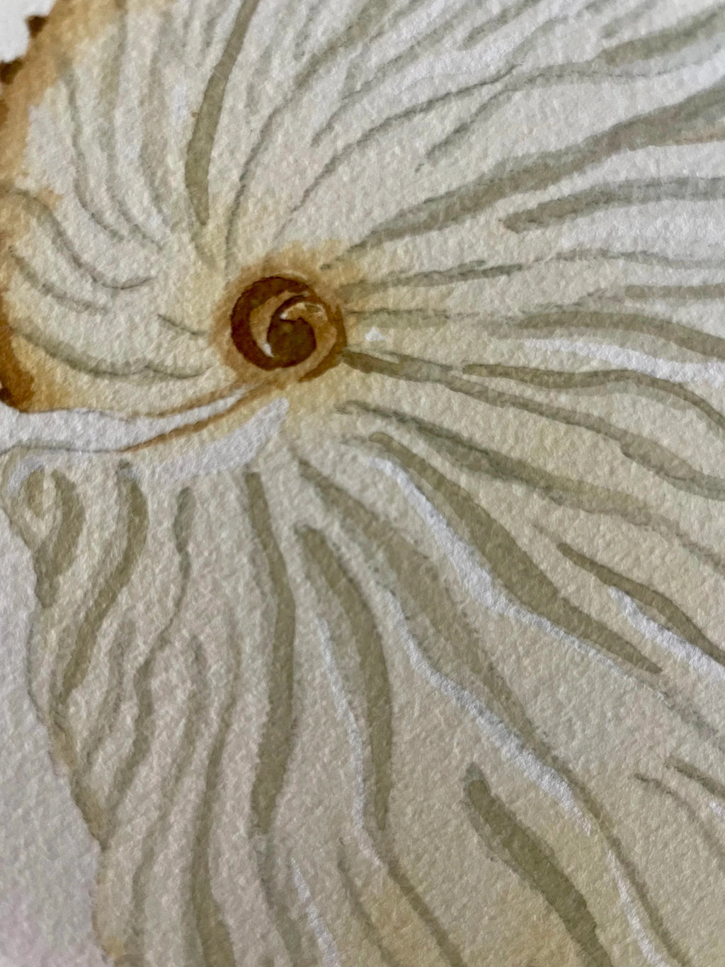 Argonaut Art Print 8x10