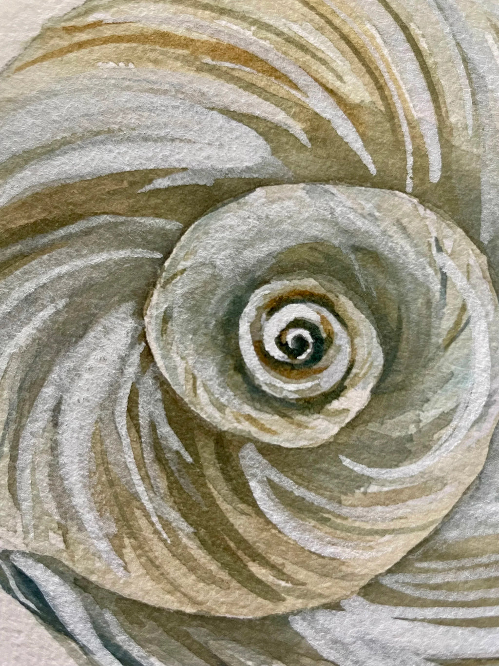 Moon Shell Art Print 8x10