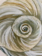 Moon Shell Art Print 8x10
