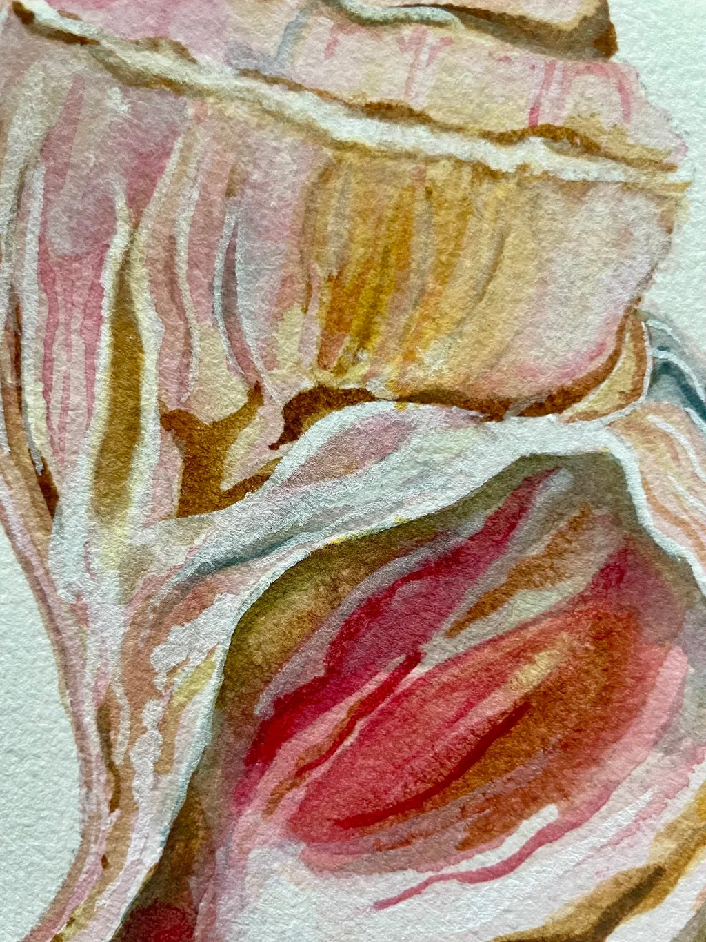 Channeled Whelk Art Print 8x10