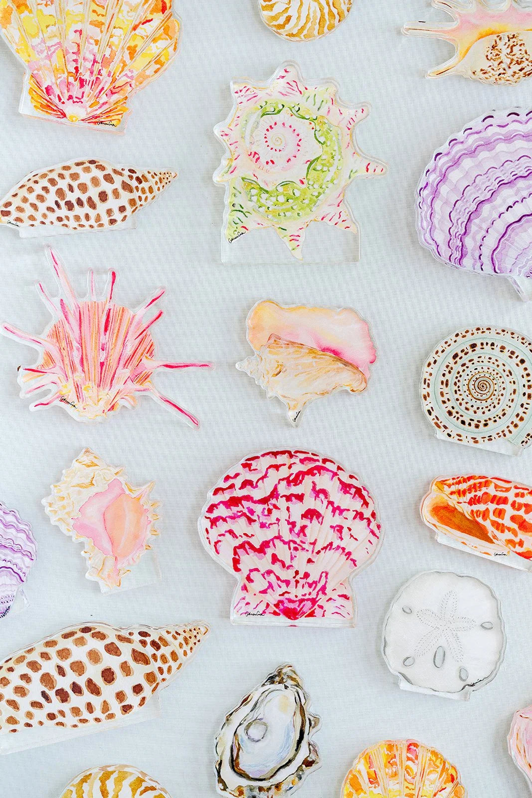 Spiny Oyster Acrylic Art Block Large