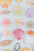 Sand Dollar Acrylic Art Block Small